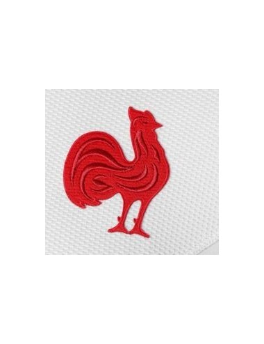 FFR XV Maillot Replica SS WCJ Enfant new