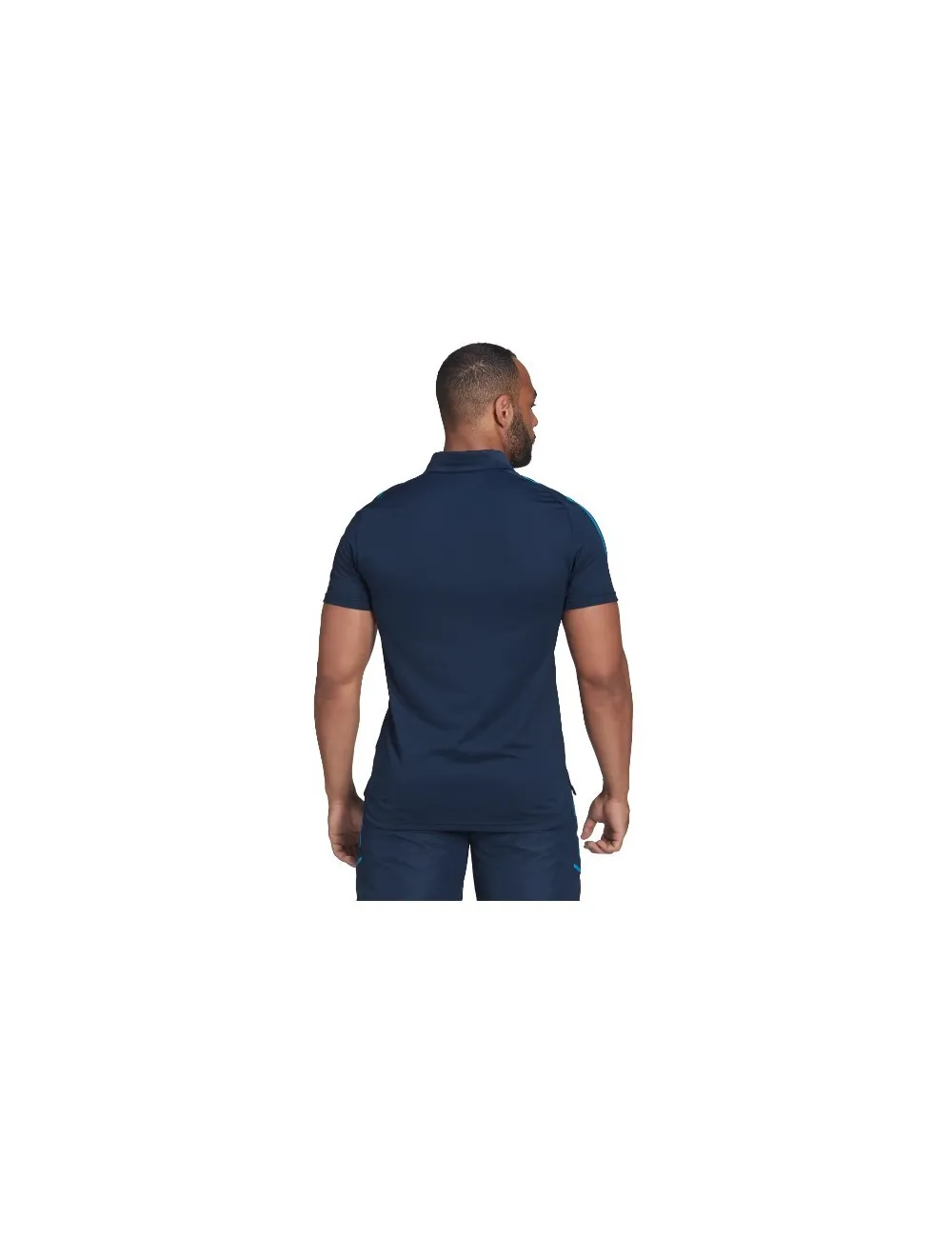 POLO AUCKLAND BLUES