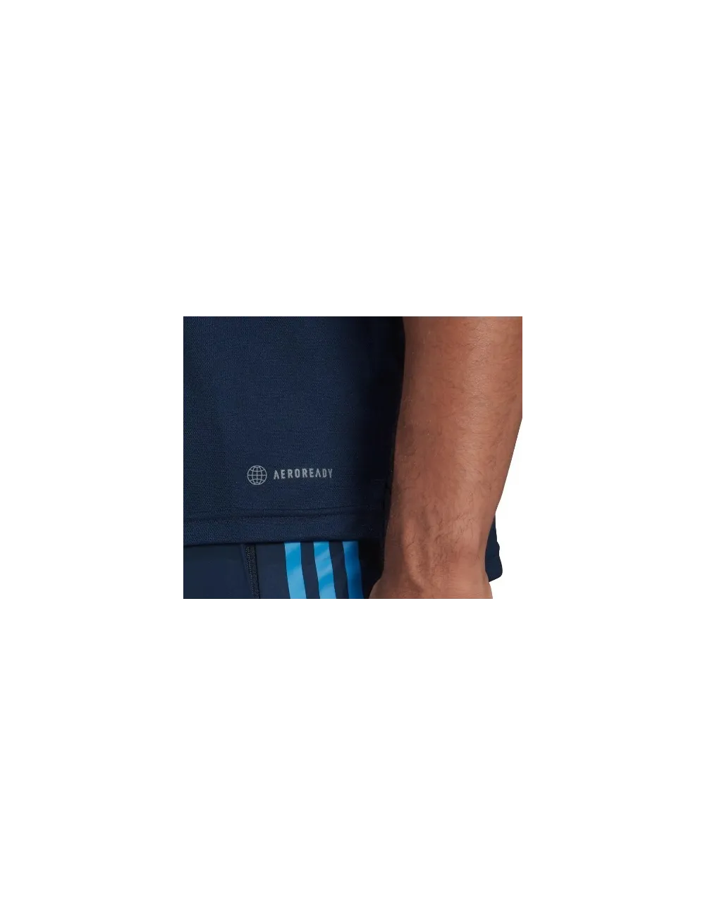 POLO AUCKLAND BLUES