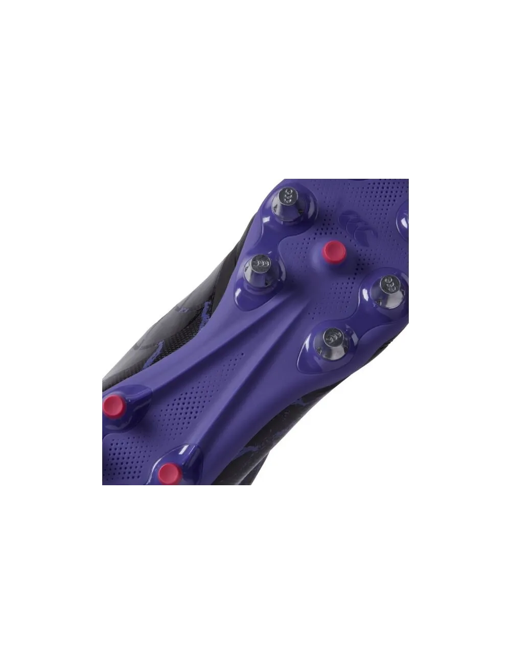 CCC STAMPEDE TEAM SC noir/purple