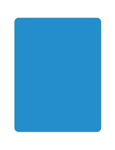 1 carton d'arbitre bleu