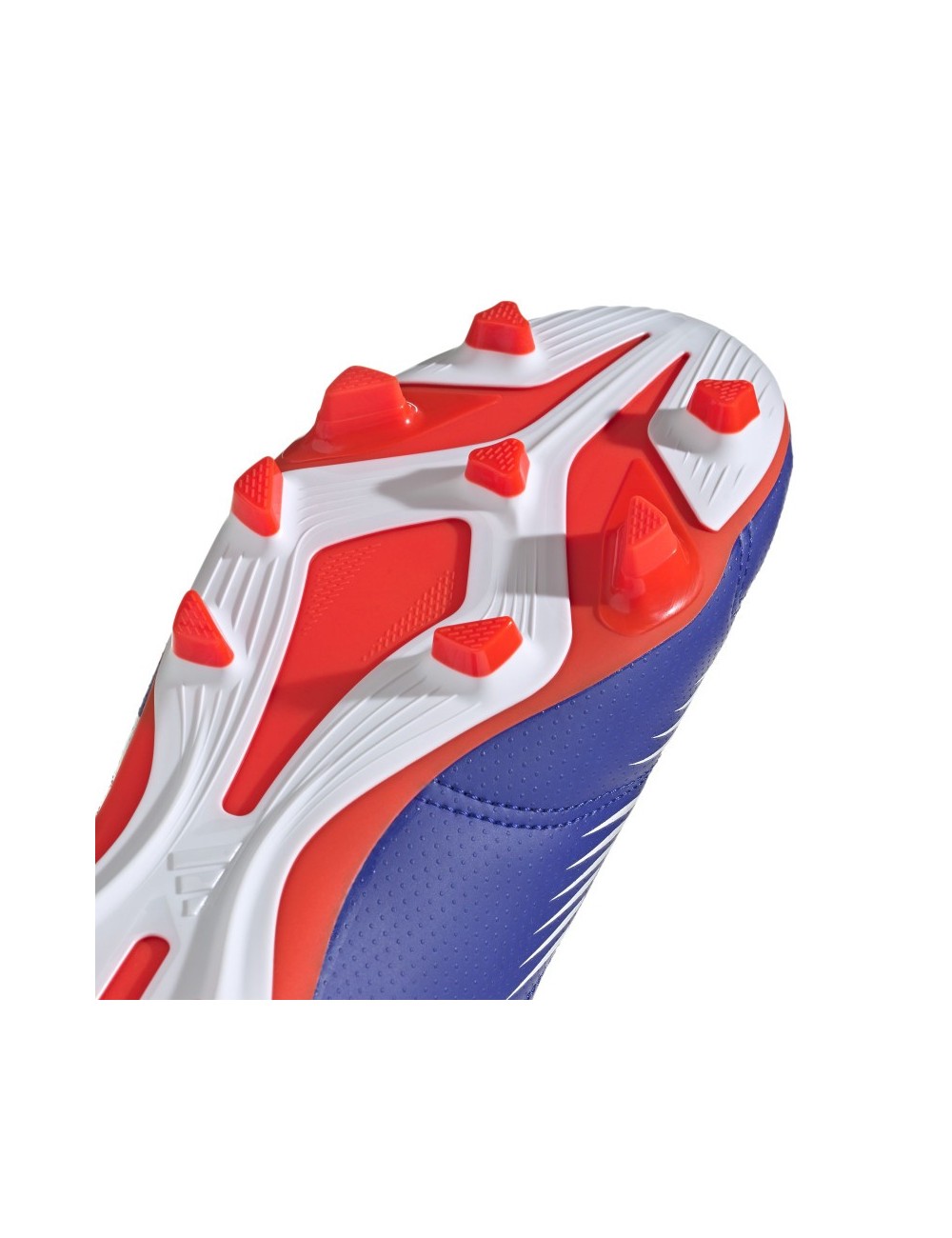 PREDATOR CLUB FxG