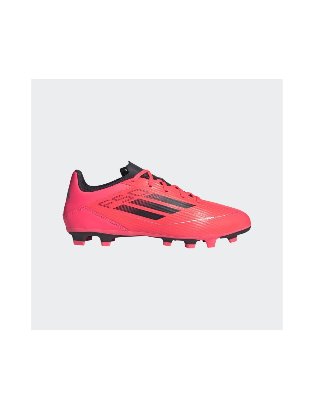F50 CLUB FxG Rose
