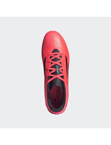 F50 CLUB FxG Rose