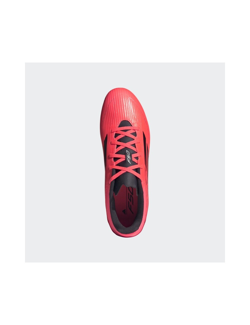 F50 CLUB FxG Rose