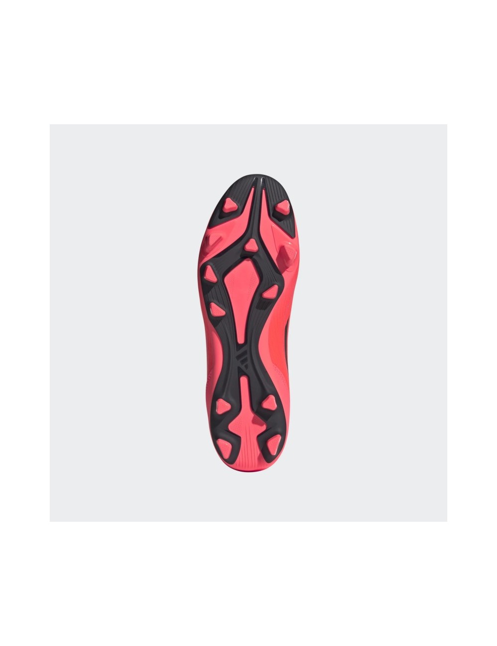 F50 CLUB FxG Rose