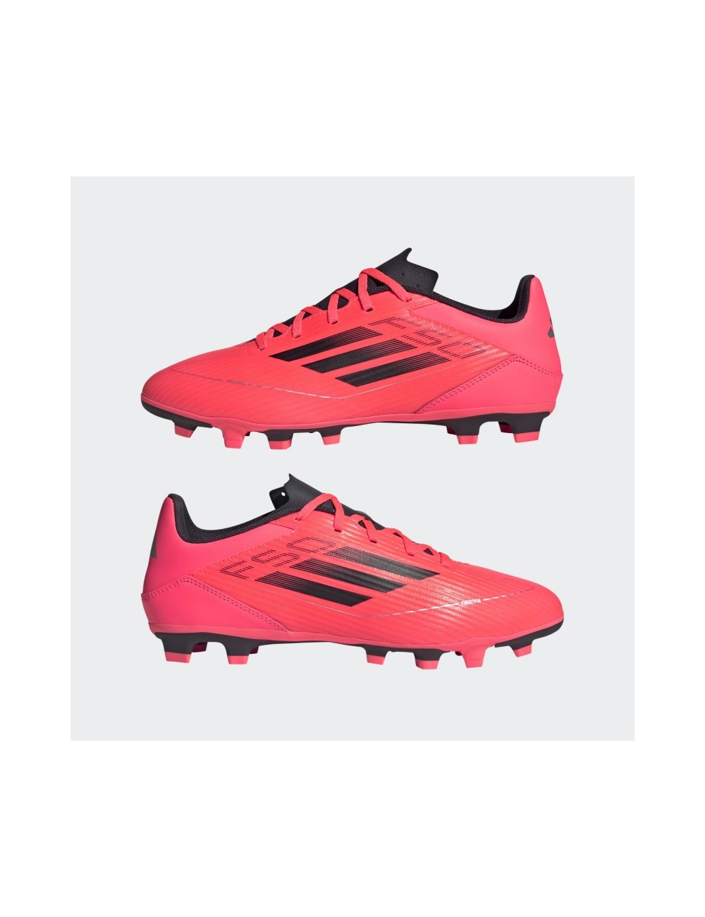 F50 CLUB FxG Rose