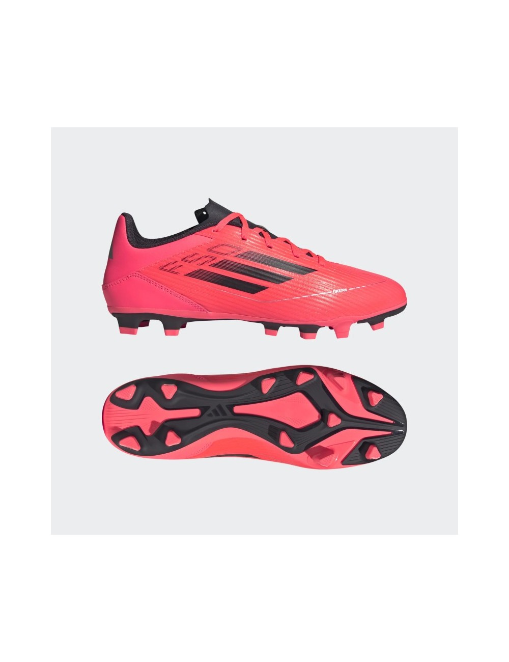 F50 CLUB FxG Rose