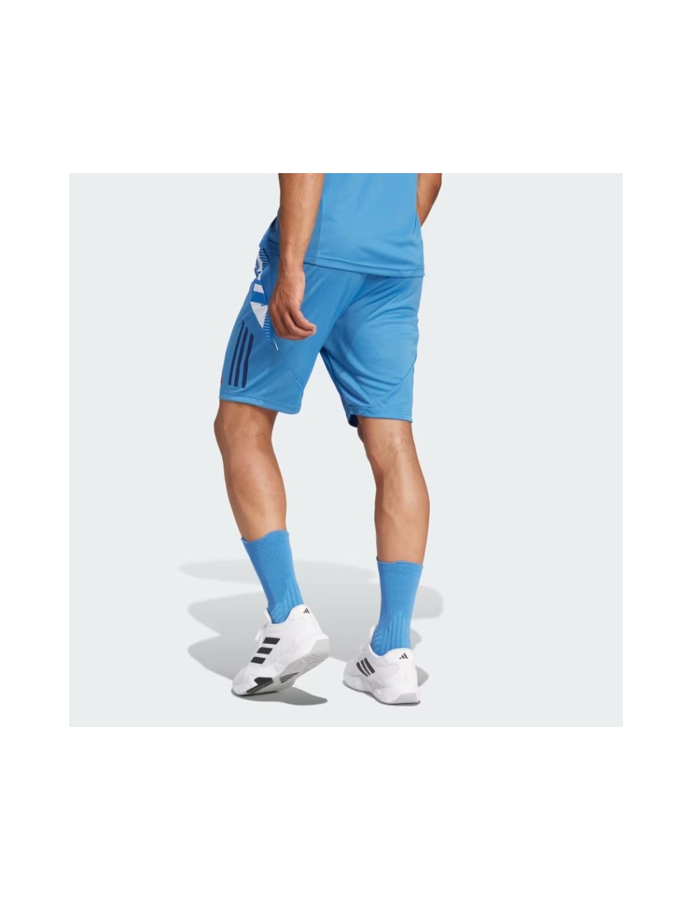 GYM SHORT FFR bleu focus