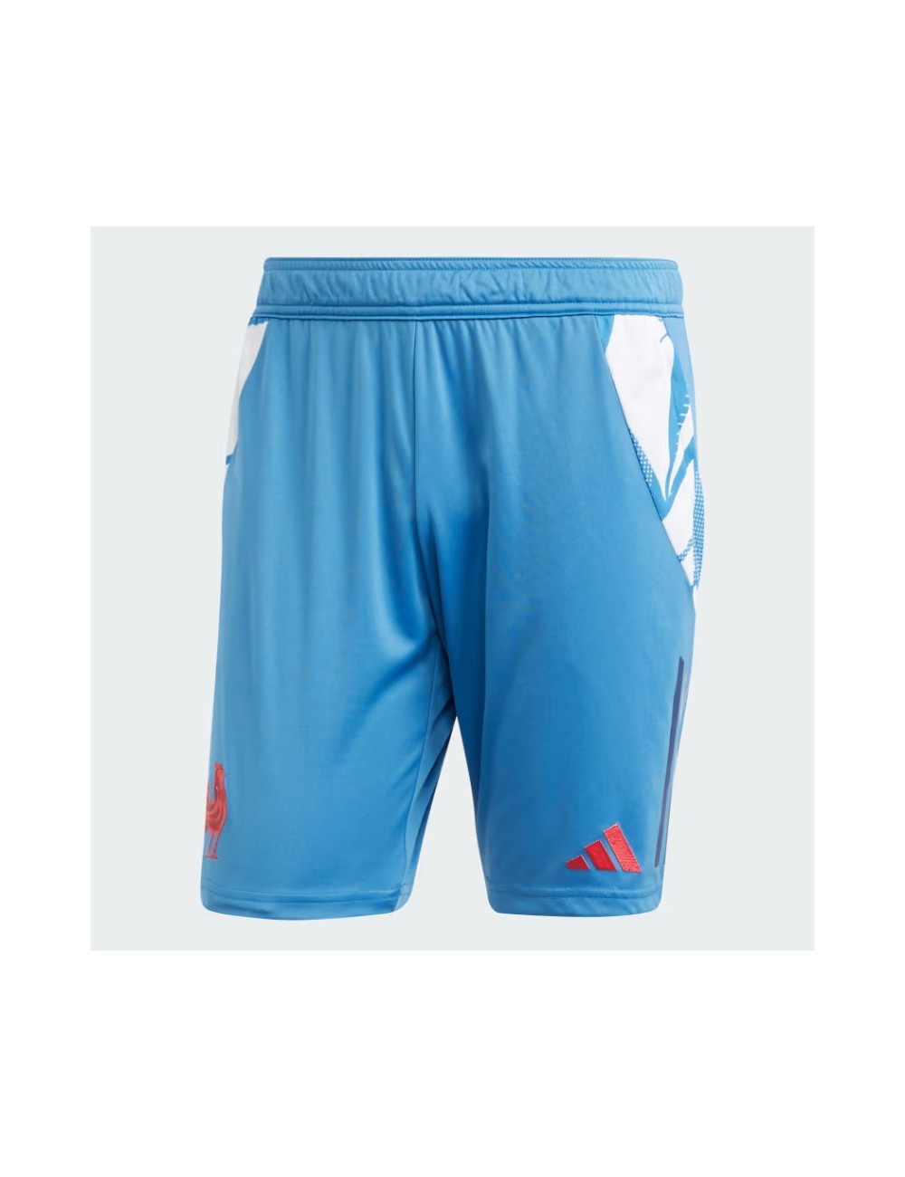 GYM SHORT FFR bleu focus