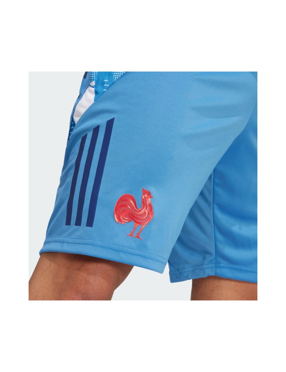 GYM SHORT FFR bleu focus