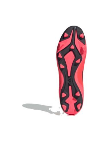 F50 CLUB FxG Rose